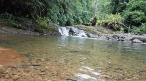 BTourist attractions in Quepos, Costa Rica