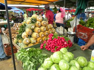 Free tourist attractions in Quepos, Costa Rica